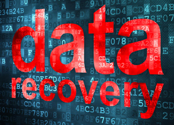 data recovery bold image