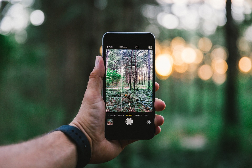 iphone photography, smartphone photography, iphone taking picture of trees